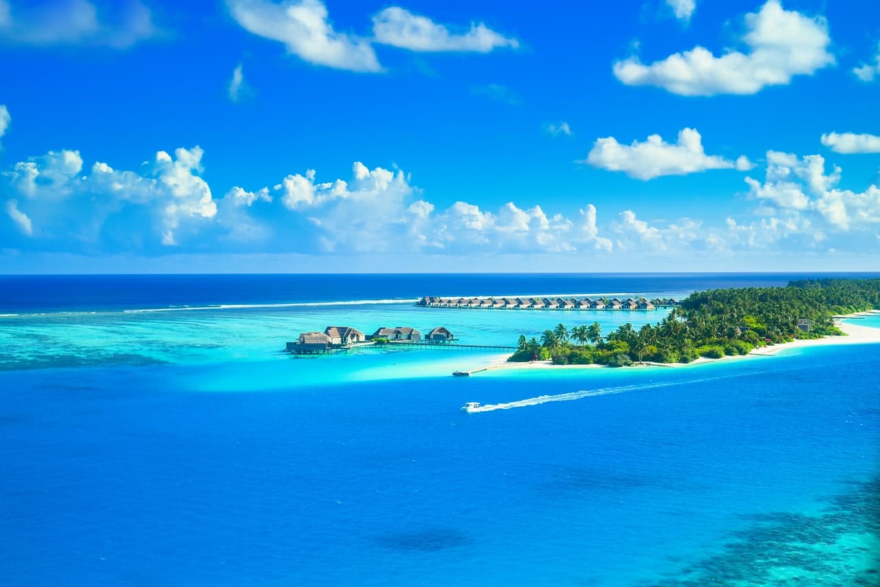 Travel the world